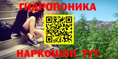 крисы Лесосибирск