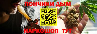 крисы Лесосибирск