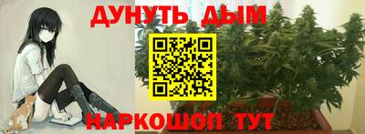 крисы Лесосибирск