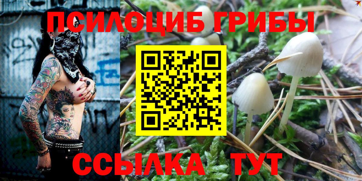 Галлюциногенные грибы мицелий Зерноград
