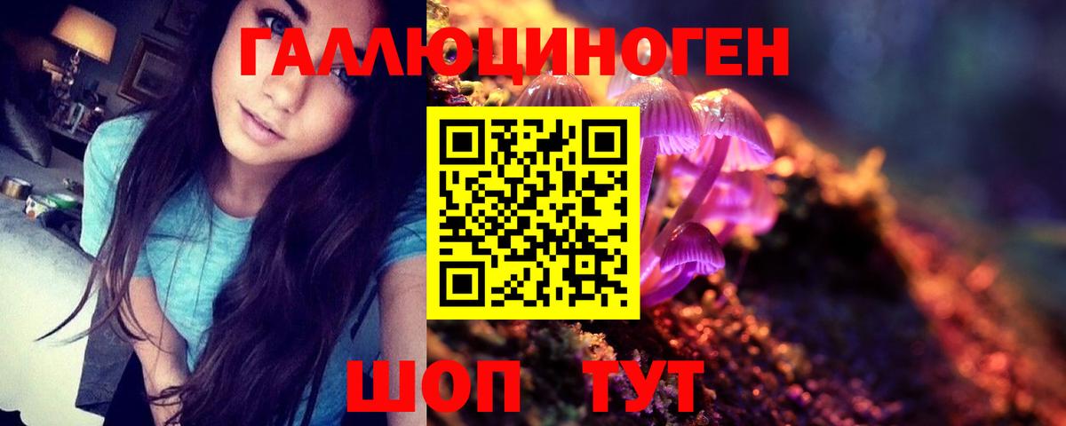 Псилоцибиновые грибы Psilocybe  Галлюциногенные грибы ЛСД  Вход с VPN  Зерноград 